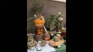 Quick tour: Amazing Display, Inter-City Cactus and Succulent Show & Sale, Los Angeles Arboretum!🌵🌱🌿🤩