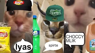 Cats advertising Snack/Drink Products