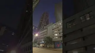 Night dog walk