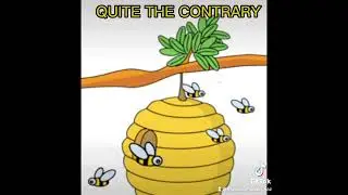 Save the Bees song by Christian Fluhr
