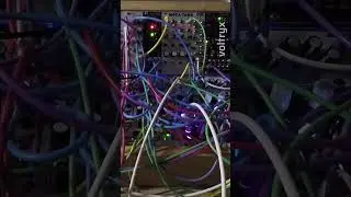 Plink plonk thump. Some more generative ambient #modular #synth #eurorack #ambient #generativemusic