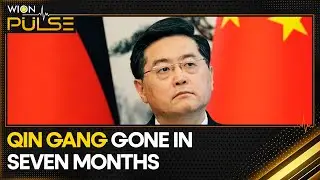 China gives no reason for removing Qin Gang as Foreign Minister | World News | WION Pulse
