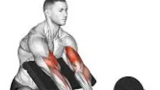Common Mistakes to Avoid while doing the  Preacher curl Using too much weight #injuryprevention 