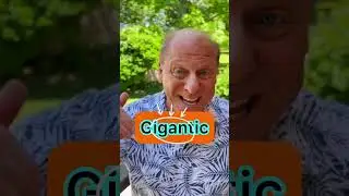 How do you say Gigantic?
