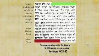 📜⚖️ Chant de la lecture de la Torah - Kipour matin mont&eacute;e 5 ✡️