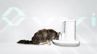 Ovvi automatic wet food pet feeder by Faunalogy