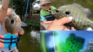 Bream bed fishing on Lake Murray!  7-11-22