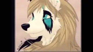 Flipagram - Fursuit dance music