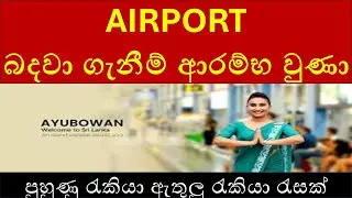 Latest Airport Job Vacancies 2025 Sri Lanka | නවතම රජයේ ගුවන්තොටුපොළ රැකියා ඇබෑර්තු 2025