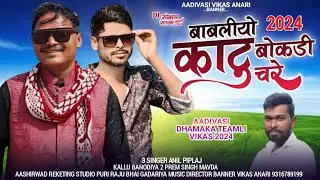 आदिवासी टीमली बाबलीयो काटु बोकडी चरे 3 singer Anil piplaj kallu bandariya 2 Prem Singh alava #vikas