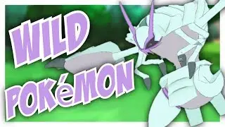 A Wild Pokemon Appears! | VRChat Shorts (Pok&eacute;mon Parody)