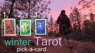 Pick Your Timeless Tarot Reading from a Cancer Full Moon ❄️ Okanagan Winter Sunset Edition