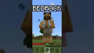 Minecraft java 🆚 Bedrock Part 50 #sierra #shorts #smartphone