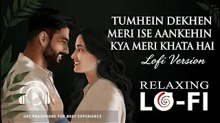 umhein Dekhen Meri Aankhein Lofi Remix | Kumar Sanu Alka Yagnik | 90s Bollywood Lofi