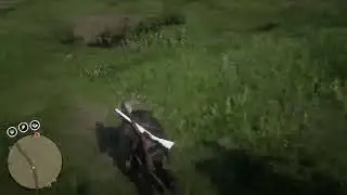 RDR2 Online