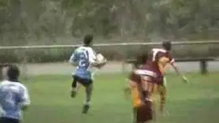 Sharks HIghlights
