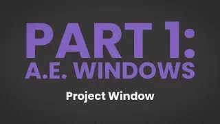[P1:E3] The Project Window
