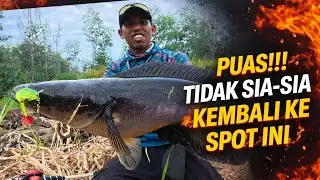 PUAS!!! TIDAK SIA-SIA KEMBALI KE SPOT INI #castingtoman 