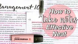 How to Take NEAT Notes // BEST Organization Tips
