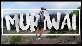 Muriwai Beach - New Zealand - 2018