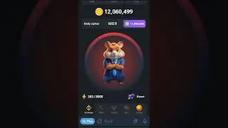 15Iuly Hamster Kombat Daily Cipher Codes | Daily Cipher Hamster Kombat Toay