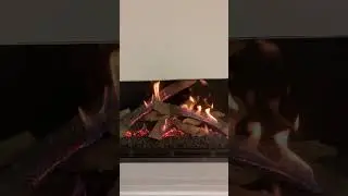 Flare and Ortal standard burner and flame blog