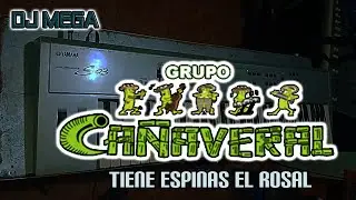 Dj Mega - CA&Ntilde;AVERAL - Tiene espinas el rosal (Yamaha S03) (Pista Propia)