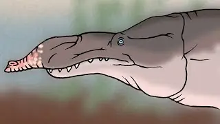 Did Some Whales Have Trunks?