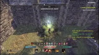 Eso Ps4| Stamina Nb selfbuffed DPS test #2 Wrathstone