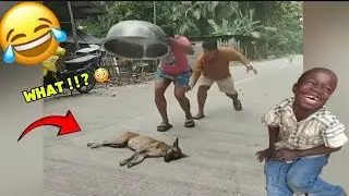 Try Not To Laugh Challenge 😂| Funniest Moments 2026 | Crazy Funny Videos Ever In The World | Lev 37