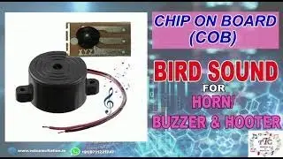Bird Sound COB Chip on Board for Buzzer, Horn and Hooter   Soundify 360p, h264