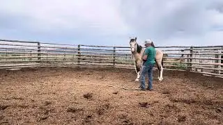 Rimrock 6/11/25: working on picking up feet