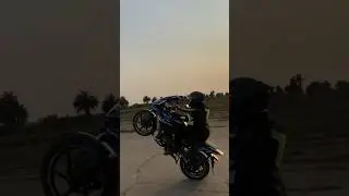 Long wheelie in pulsar 220f#220f #bike #biker ##youtubeshorts