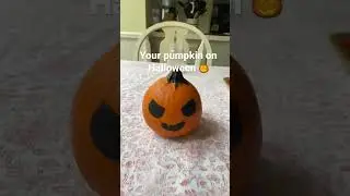 Pumpkin before Halloween  🎃 vs on Halloween 👻