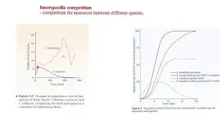 Populations and Competition