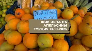 ТУРЦИЯ ШОК ЦЕНА НА АПЕЛЬСИНЫ 19 ОКТЯБРЯ 2025 АЛАНЬЯ