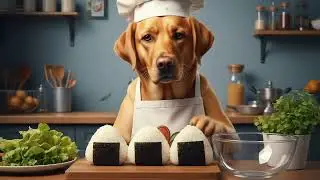 You Won't Believe How Easy Miso Cooking Is For This Little Dog