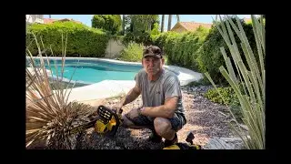 DeWalt Cordless Yard work !  #dewalt #dewalttough #yardwork #plants #chainsaw #leafblower #dogs