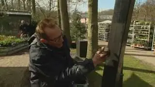 Rob's Tuinbeits - Koopmans Verf