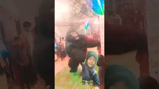 gorilla #funny #song #dance #sorts #monkey #music #dj #remix