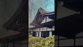 Shofuso- Japanese Gardens, Philly