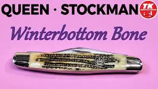 Queen Winterbottom Bone Stockman Pocket Knife QN37WB
