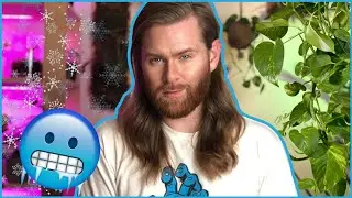 MY WINTER CARE TIPS FOR INDOOR PLANTS | Simple Tips to keep your plants thriving through winter