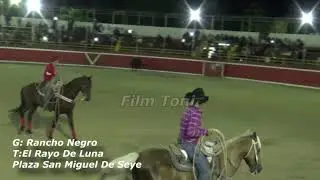 El Rayo De Luna Hace Fiesta En San Miguel De Seye Alcanzando Al Conejo Quintal