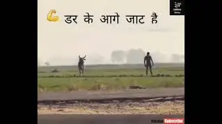 💪डर के आगे जाट है | Jaat Status | Whatsapp Status #SANDHU_jaat_status