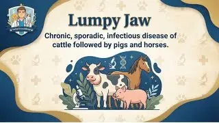 Lumpy Jaw (Actinomycosis) in Cattle: Symptoms, Diagnosis & Treatment | Vet Disease Brief