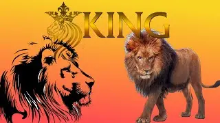 🦁Mayor Lionheart 🦁