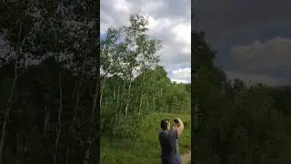 Primrose Trail 2 - second meadow #utah #wasatch #hiking