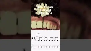BASS COVER and TABS [HOZIER- DE SELBY PART 2] #bass #basscover #hozier