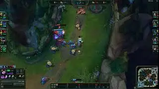 Q- Cait Bug